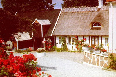 Den gamla vattenkvarnen.