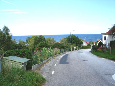 Mllebacken ned mot havet, strax nedanfr krnet.