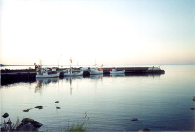 Bild p den norra hamnpiren i Vitemlla hamn (norrearm).
