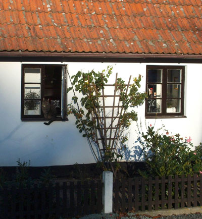 Rosenspalje.